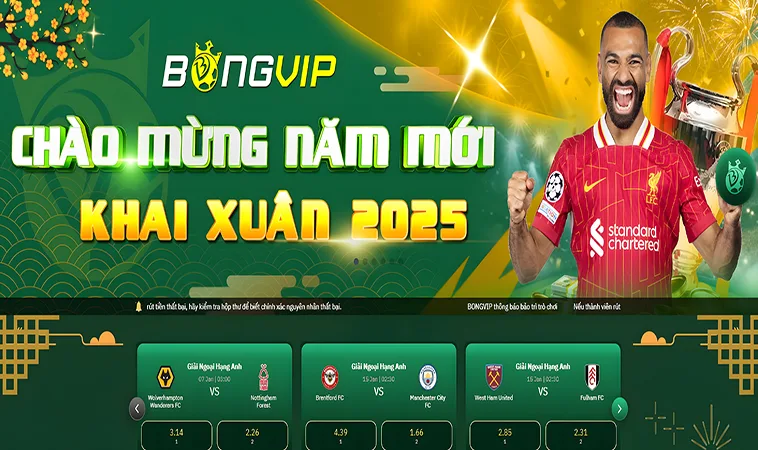 Giới Thiệu Về Nhà Cái BongVIP