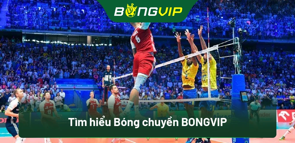 Tìm hiểu Bóng chuyền BongVip