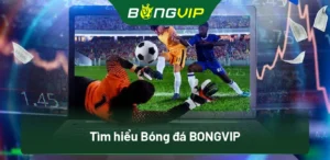 Tìm hiểu Bóng đá BongVip