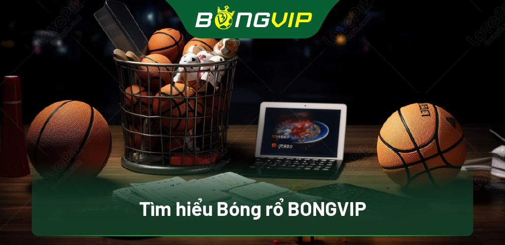 Tìm hiểu Bóng rổ BongVip