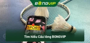 Tìm hiểu Cầu lông BongVip