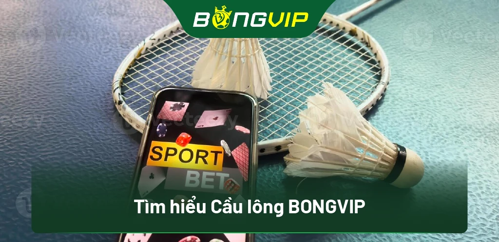 Tìm hiểu Cầu lông BongVip