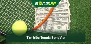 Tìm hiểu Tennis BongVip