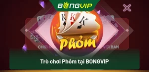 Trò chơi Phỏm tại BongVip